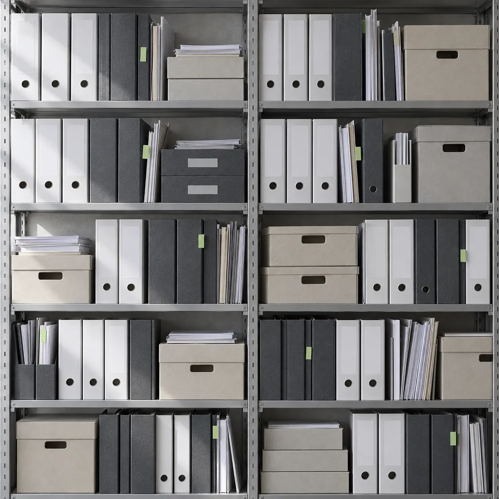 Generated picture: office shelves full of binders and storage boxes